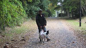 �N���b�N���Ċg��